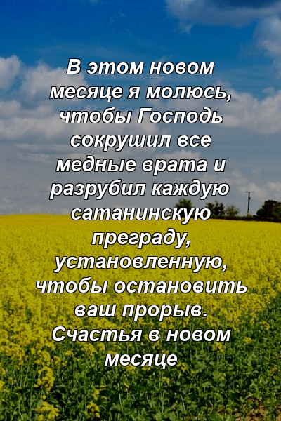 В этом новом месяце я молюсь, чтобы Господь сокрушил все медные врата и разрубил каждую сатанинскую преграду, установленную, чтобы остановить ваш прорыв. Счастья в новом месяце