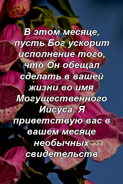 В этом месяце, пусть Бог ускорит исполнение того, что Он обещал сделать в вашей жизни во имя Могущественного Иисуса. Я приветствую вас в вашем месяце необычных свидетельств