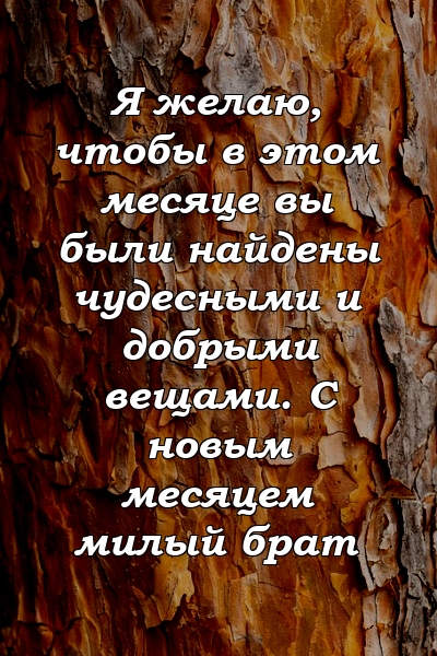 Я желаю, чтобы в этом месяце вы были найдены чудесными и добрыми вещами. С новым месяцем милый брат