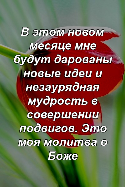 В этом новом месяце мне будут дарованы новые идеи и незаурядная мудрость в совершении подвигов. Это моя молитва о Боже