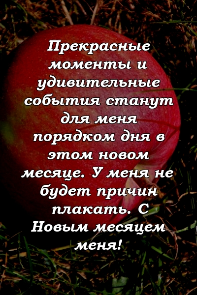 Прекрасные моменты и удивительные события станут для меня порядком дня в этом новом месяце. У меня не будет причин плакать. С Новым месяцем меня!