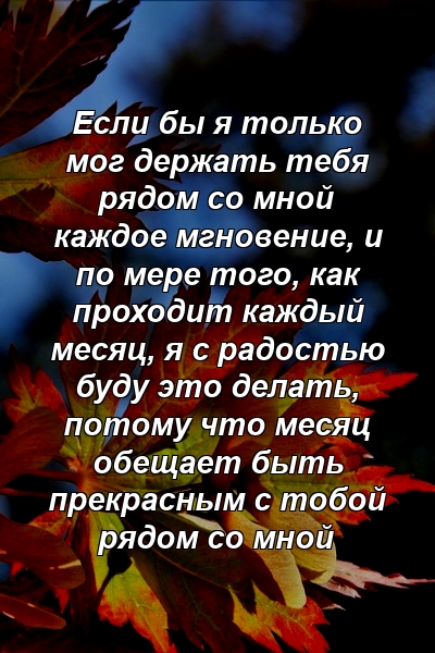 Если бы я только мог держать тебя рядом со мной каждое мгновение, и по мере того, как проходит каждый месяц, я с радостью буду это делать, потому что месяц обещает быть прекрасным с тобой рядом со мной