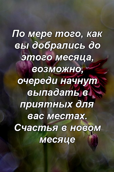 По мере того, как вы добрались до этого месяца, возможно, очереди начнут выпадать в приятных для вас местах. Счастья в новом месяце