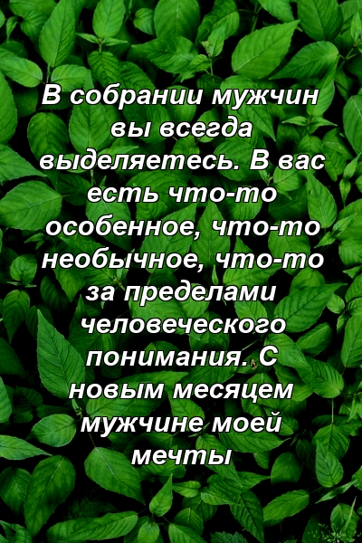 В собрании мужчин вы всегда выделяетесь. В вас есть что-то особенное, что-то необычное, что-то за пределами человеческого понимания. С новым месяцем мужчине моей мечты