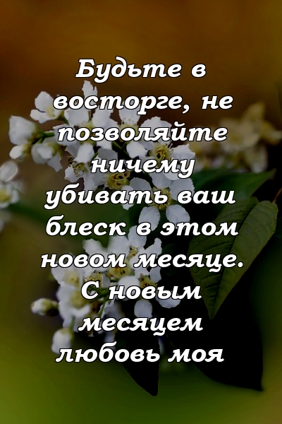 Будьте в восторге, не позволяйте ничему убивать ваш блеск в этом новом месяце. С новым месяцем любовь моя