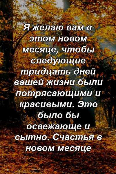 Я желаю вам в этом новом месяце, чтобы следующие тридцать дней вашей жизни были потрясающими и красивыми. Это было бы освежающе и сытно. Счастья в новом месяце