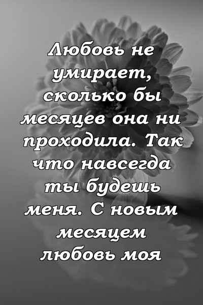 Любовь не умирает, сколько бы месяцев она ни проходила. Так что навсегда ты будешь меня. С новым месяцем любовь моя