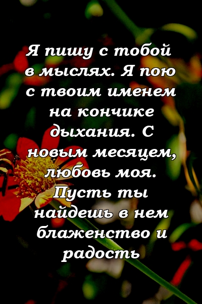 Я пишу с тобой в мыслях. Я пою с твоим именем на кончике дыхания. С новым месяцем, любовь моя. Пусть ты найдешь в нем блаженство и радость