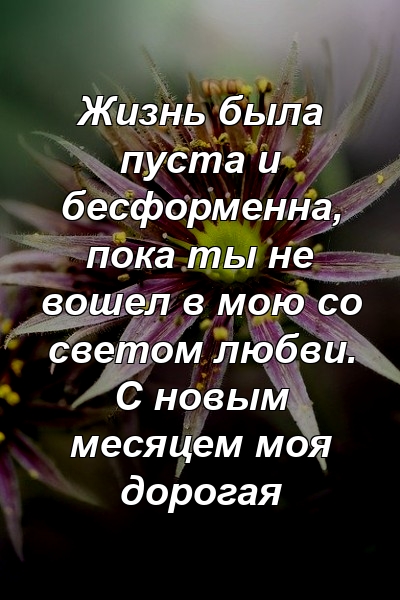 Жизнь была пуста и бесформенна, пока ты не вошел в мою со светом любви. С новым месяцем моя дорогая