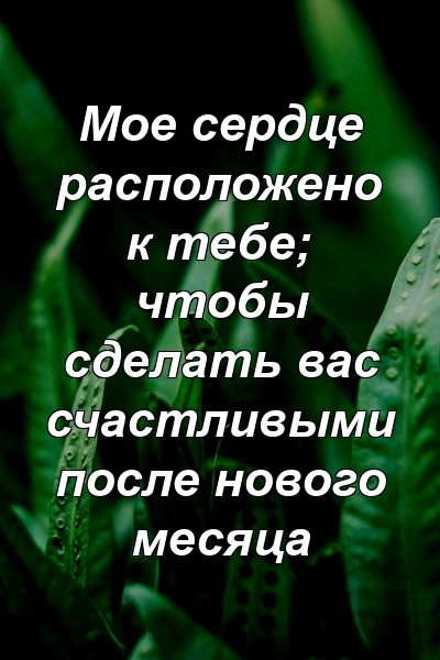 Мое сердце расположено к тебе; чтобы сделать вас счастливыми после нового месяца