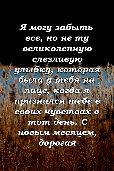 Я могу забыть все, но не ту великолепную слезливую улыбку, которая была у тебя на лице, когда я признался тебе в своих чувствах в тот день. С новым месяцем, дорогая