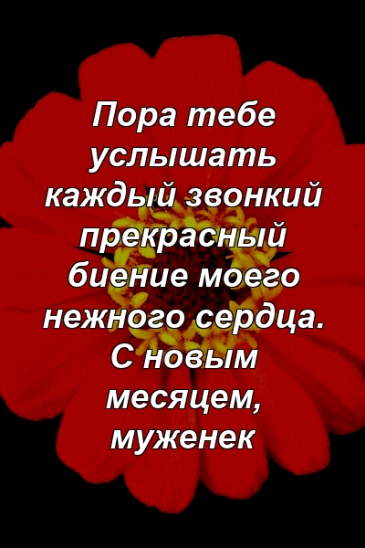 Пора тебе услышать каждый звонкий прекрасный биение моего нежного сердца. С новым месяцем, муженек