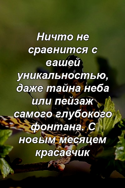 Ничто не сравнится с вашей уникальностью, даже тайна неба или пейзаж самого глубокого фонтана. С новым месяцем красавчик