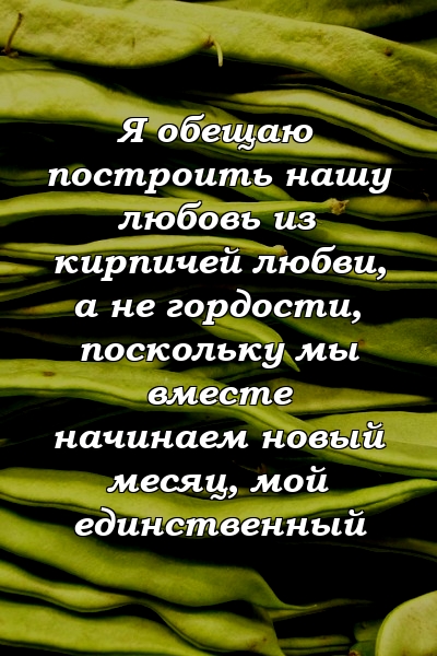 Я обещаю построить нашу любовь из кирпичей любви, а не гордости, поскольку мы вместе начинаем новый месяц, мой единственный