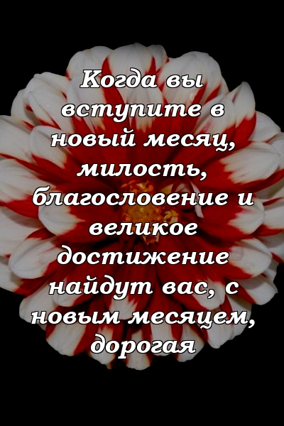 Когда вы вступите в новый месяц, милость, благословение и великое достижение найдут вас, с новым месяцем, дорогая