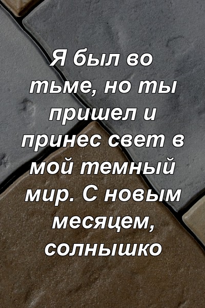 Я был во тьме, но ты пришел и принес свет в мой темный мир. С новым месяцем, солнышко