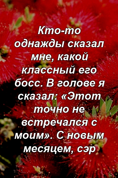 Кто-то однажды сказал мне, какой классный его босс. В голове я сказал: «Этот точно не встречался с моим». С новым месяцем, сэр