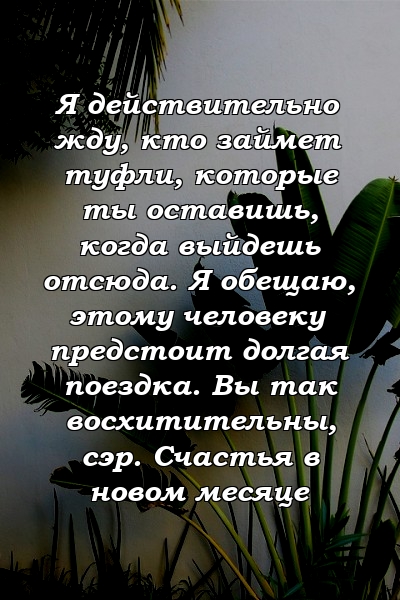 Я действительно жду, кто займет туфли, которые ты оставишь, когда выйдешь отсюда. Я обещаю, этому человеку предстоит долгая поездка. Вы так восхитительны, сэр. Счастья в новом месяце