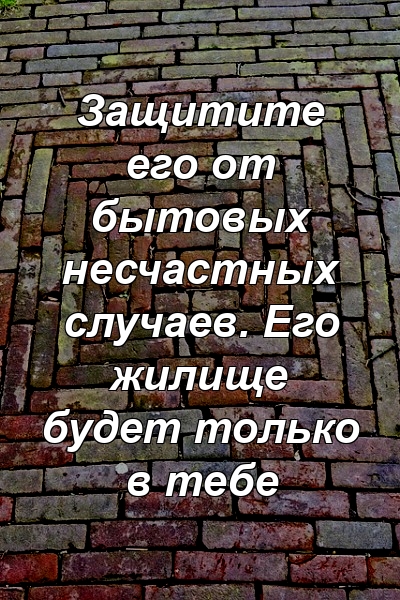 Защитите его от бытовых несчастных случаев. Его жилище будет только в тебе