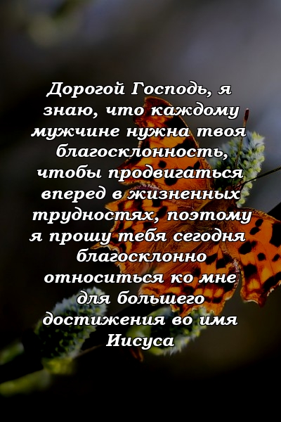 Дорогой Господь, я знаю, что каждому мужчине нужна твоя благосклонность, чтобы продвигаться вперед в жизненных трудностях, поэтому я прошу тебя сегодня благосклонно относиться ко мне для большего достижения во имя Иисуса