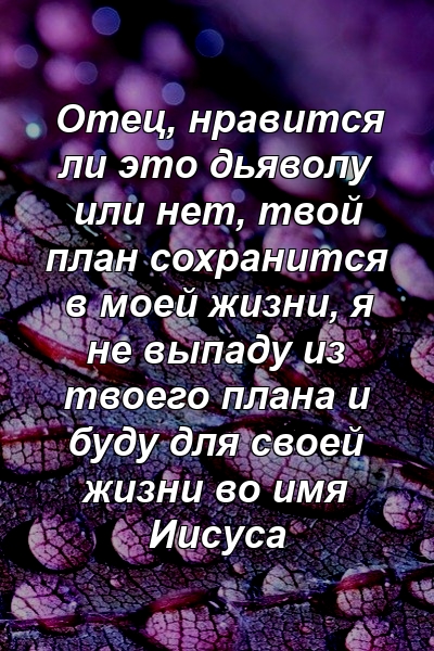 Отец, нравится ли это дьяволу или нет, твой план сохранится в моей жизни, я не выпаду из твоего плана и буду для своей жизни во имя Иисуса