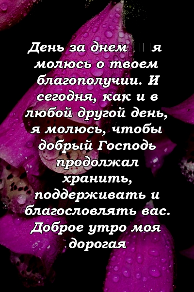 День за днем ​​я молюсь о твоем благополучии. И сегодня, как и в любой другой день, я молюсь, чтобы добрый Господь продолжал хранить, поддерживать и благословлять вас. Доброе утро моя дорогая