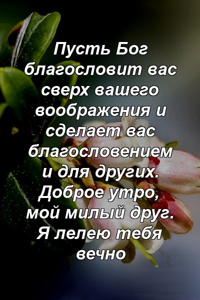 Пусть Бог благословит вас сверх вашего воображения и сделает вас благословением и для других. Доброе утро, мой милый друг. Я лелею тебя вечно