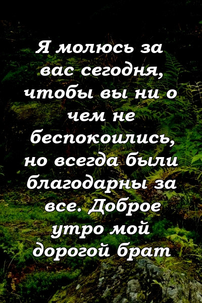 Я молюсь за вас сегодня, чтобы вы ни о чем не беспокоились, но всегда были благодарны за все. Доброе утро мой дорогой брат