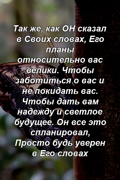 Так же, как ОН сказал в Своих словах, Его планы относительно вас велики. Чтобы заботиться о вас и не покидать вас. Чтобы дать вам надежду и светлое будущее. Он все это спланировал, Просто будь уверен в Его словах