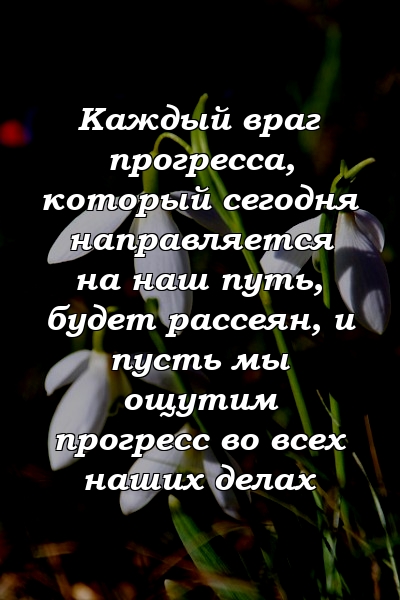 Каждый враг прогресса, который сегодня направляется на наш путь, будет рассеян, и пусть мы ощутим прогресс во всех наших делах