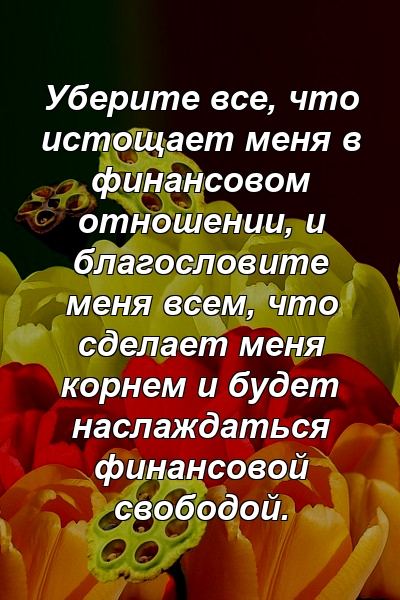 Уберите все, что истощает меня в финансовом отношении, и благословите меня всем, что сделает меня корнем и будет наслаждаться финансовой свободой.