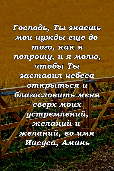 Господь, Ты знаешь мои нужды еще до того, как я попрошу, и я молю, чтобы Ты заставил небеса открыться и благословить меня сверх моих устремлений, желаний и желаний, во имя Иисуса, Аминь