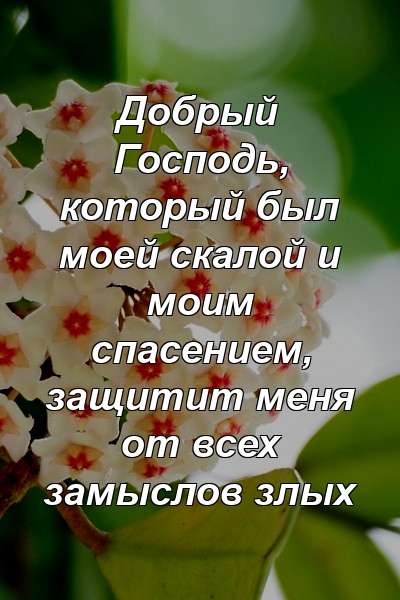 Добрый Господь, который был моей скалой и моим спасением, защитит меня от всех замыслов злых