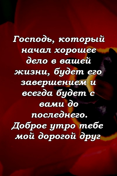 Господь, который начал хорошее дело в вашей жизни, будет его завершением и всегда будет с вами до последнего. Доброе утро тебе мой дорогой друг