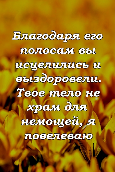 Благодаря его полосам вы исцелились и выздоровели. Твое тело не храм для немощей, я повелеваю