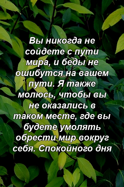 Вы никогда не сойдете с пути мира, и беды не ошибутся на вашем пути. Я также молюсь, чтобы вы не оказались в таком месте, где вы будете умолять обрести мир вокруг себя. Спокойного дня