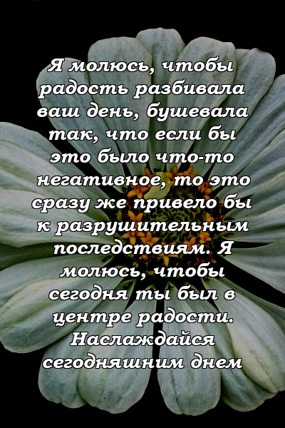 Я молюсь, чтобы радость разбивала ваш день, бушевала так, что если бы это было что-то негативное, то это сразу же привело бы к разрушительным последствиям. Я молюсь, чтобы сегодня ты был в центре радости. Наслаждайся сегодняшним днем