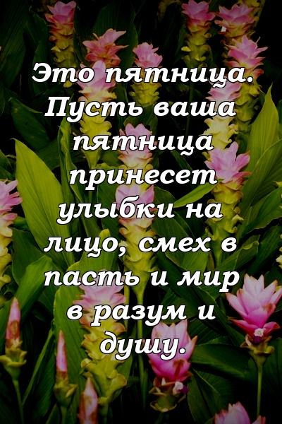 Это пятница. Пусть ваша пятница принесет улыбки на лицо, смех в пасть и мир в разум и душу.