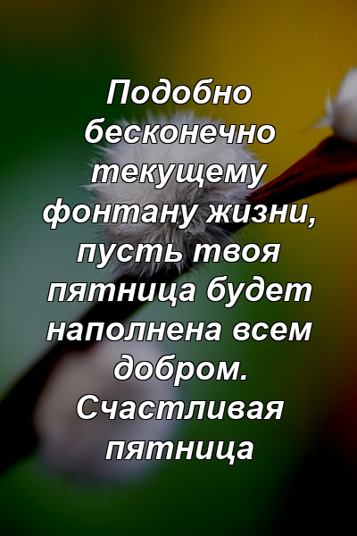 Подобно бесконечно текущему фонтану жизни, пусть твоя пятница будет наполнена всем добром. Счастливая пятница