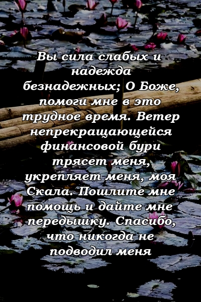 Вы сила слабых и надежда безнадежных; О Боже, помоги мне в это трудное время. Ветер непрекращающейся финансовой бури трясет меня, укрепляет меня, моя Скала. Пошлите мне помощь и дайте мне передышку. Спасибо, что никогда не подводил меня