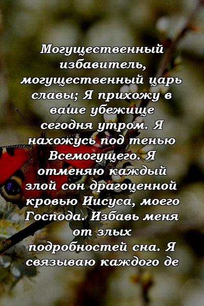 Могущественный избавитель, могущественный царь славы; Я прихожу в ваше убежище сегодня утром. Я нахожусь под тенью Всемогущего. Я отменяю каждый злой сон драгоценной кровью Иисуса, моего Господа. Избавь меня от злых подробностей сна. Я связываю каждого де