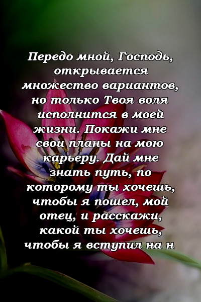 Передо мной, Господь, открывается множество вариантов, но только Твоя воля исполнится в моей жизни. Покажи мне свои планы на мою карьеру. Дай мне знать путь, по которому ты хочешь, чтобы я пошел, мой отец, и расскажи, какой ты хочешь, чтобы я вступил на н