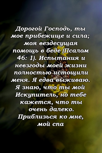 Дорогой Господь, ты мое прибежище и сила; моя вездесущая помощь в беде (Псалом 46: 1). Испытания и невзгоды моей жизни полностью истощили меня. Я едва выживаю. Я знаю, что ты мой Искупитель, но тебе кажется, что ты очень далеко. Приблизься ко мне, мой спа