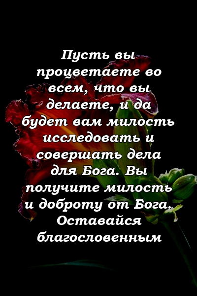 Пусть вы процветаете во всем, что вы делаете, и да будет вам милость исследовать и совершать дела для Бога. Вы получите милость и доброту от Бога. Оставайся благословенным