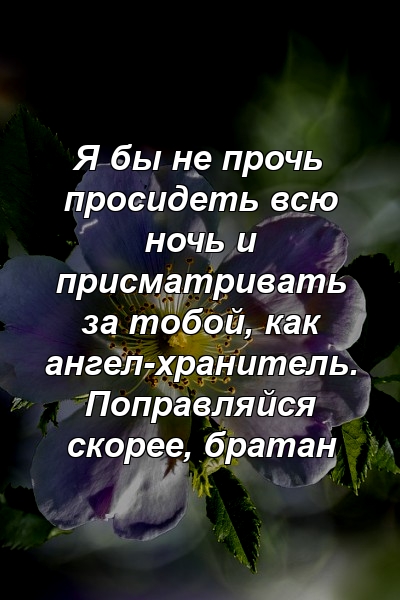 Я бы не прочь просидеть всю ночь и присматривать за тобой, как ангел-хранитель. Поправляйся скорее, братан