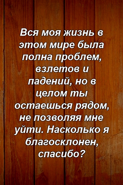 Вся моя жизнь в этом мире была полна проблем, взлетов и падений, но в целом ты остаешься рядом, не позволяя мне уйти. Насколько я благосклонен, спасибо?