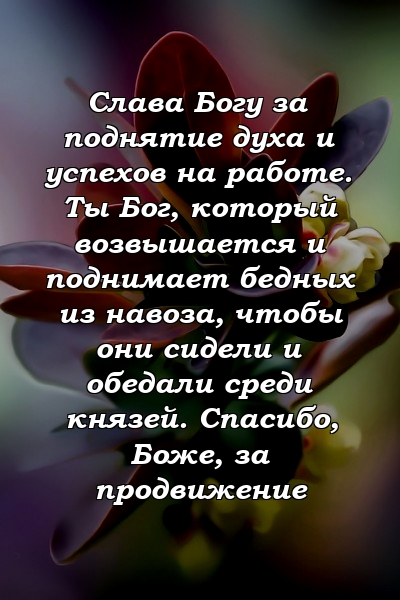 Слава Богу за поднятие духа и успехов на работе. Ты Бог, который возвышается и поднимает бедных из навоза, чтобы они сидели и обедали среди князей. Спасибо, Боже, за продвижение