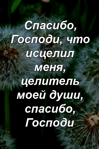 Спасибо, Господи, что исцелил меня, целитель моей души, спасибо, Господи