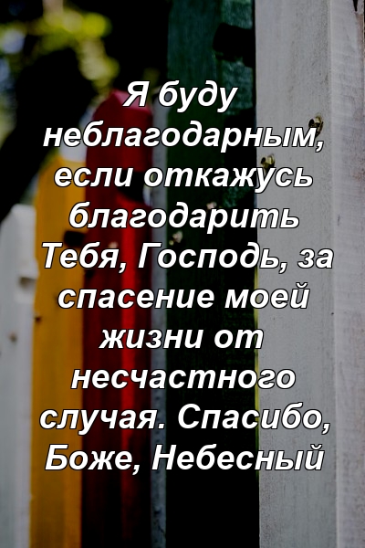 Я буду неблагодарным, если откажусь благодарить Тебя, Господь, за спасение моей жизни от несчастного случая. Спасибо, Боже, Небесный