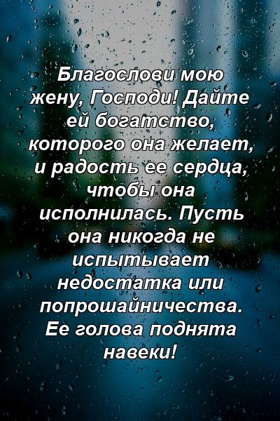 Благослови мою жену, Господи! Дайте ей богатство, которого она желает, и радость ее сердца, чтобы она исполнилась. Пусть она никогда не испытывает недостатка или попрошайничества. Ее голова поднята навеки!